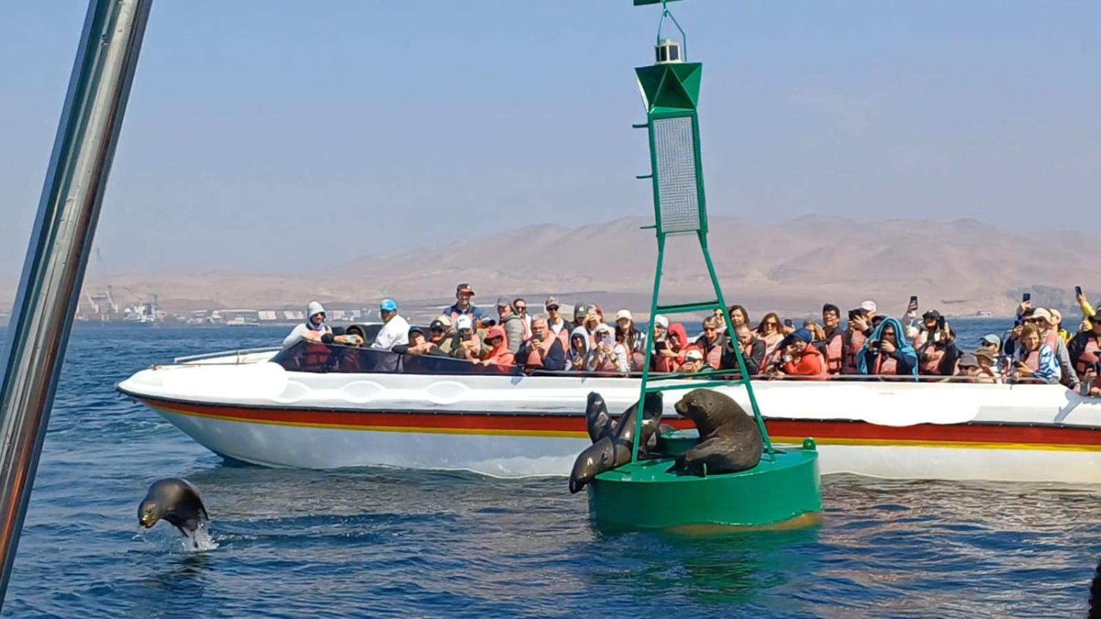 Arena Hostal Paracas Ngoại thất bức ảnh